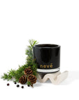 Nevé Wild Pine + Juniper Berry