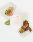 PRE ORDER | Sunstone